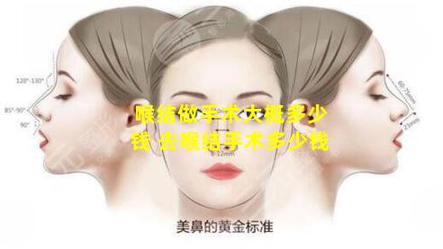 喉结做手术大概多少钱 去喉结手术多少钱